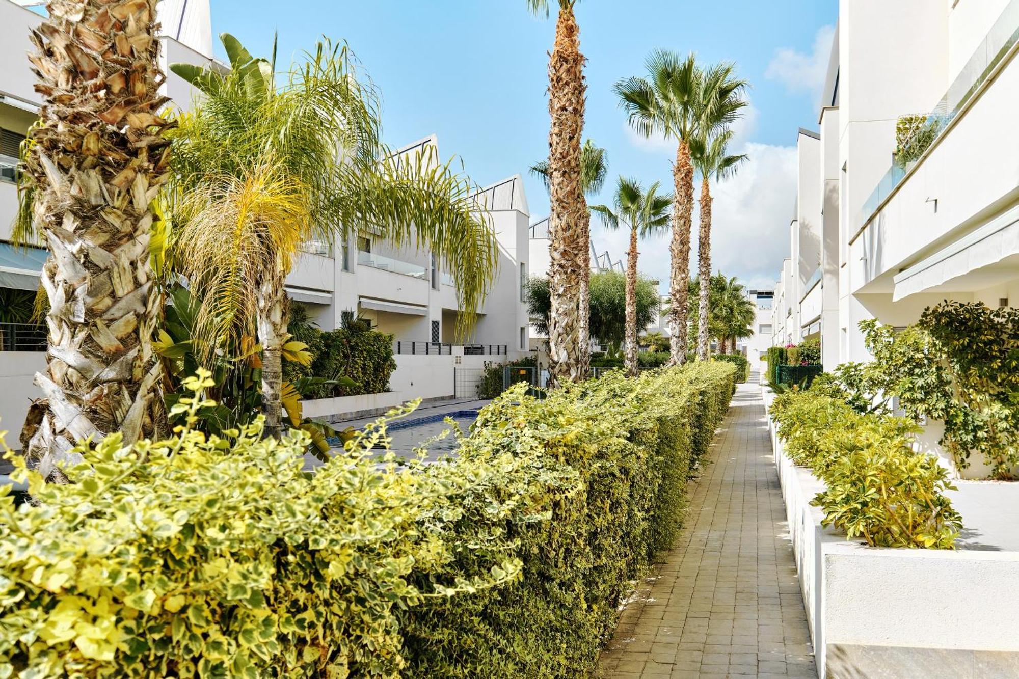 Apartamento Villa Amalia Torrevieja Exterior photo